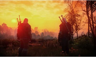 The Witcher 3 delights us with a few mods